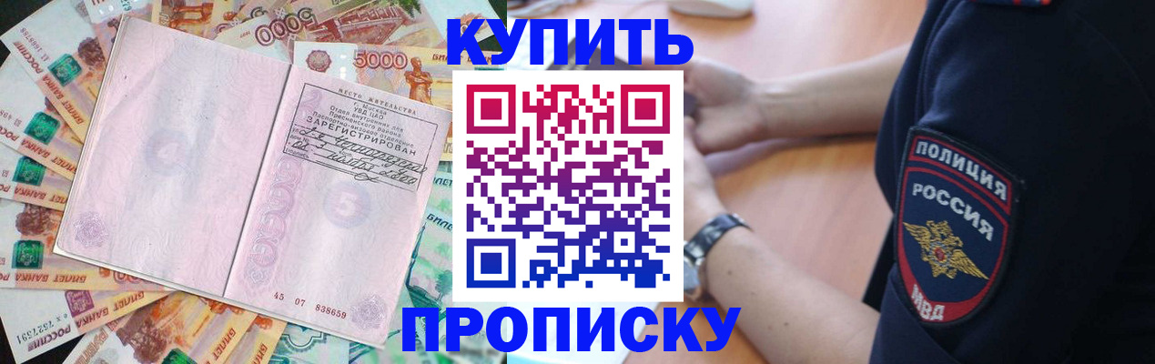 временная регистрация поиск в Луге